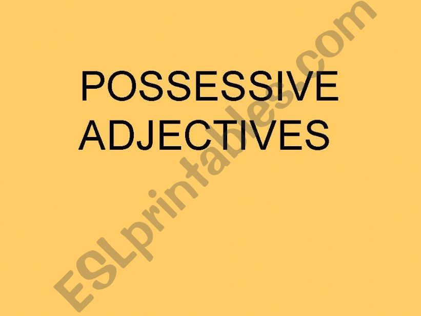 POSSESSIVE ADJECTIVES powerpoint