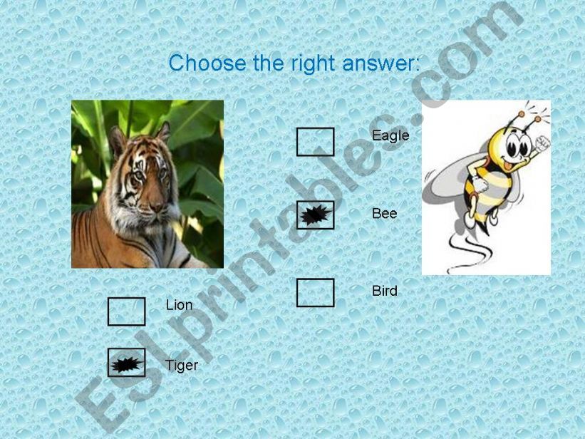 Animals powerpoint