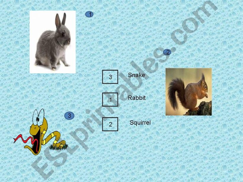 Animals powerpoint