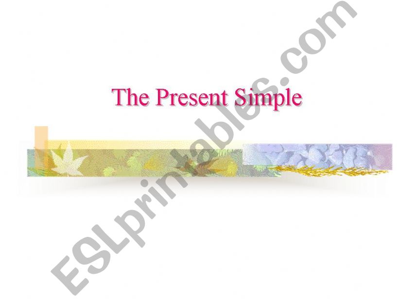 The present simple powerpoint