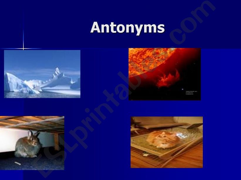 antonyms powerpoint  powerpoint