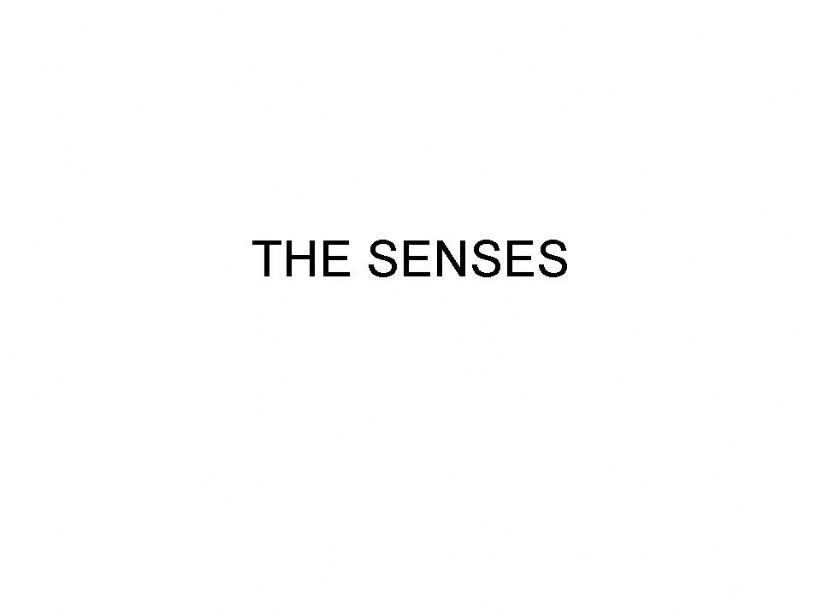 the senses powerpoint