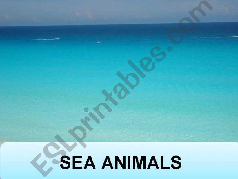 Sea Animals powerpoint