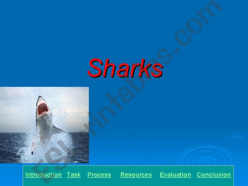 Sharks powerpoint