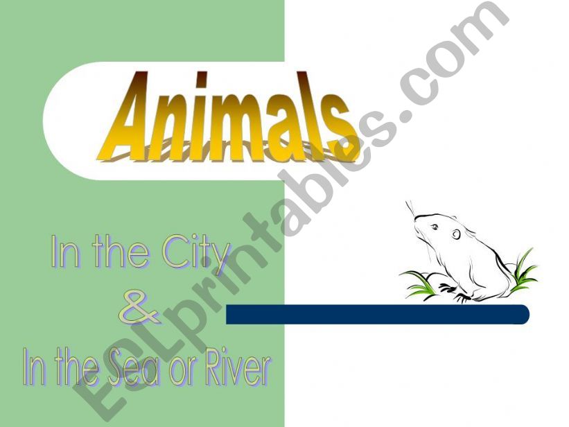 Animals Picture Dictionary - City and Sea & River
