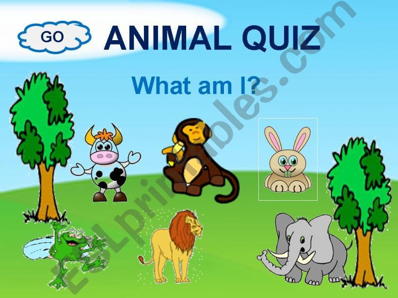 Animal quiz powerpoint