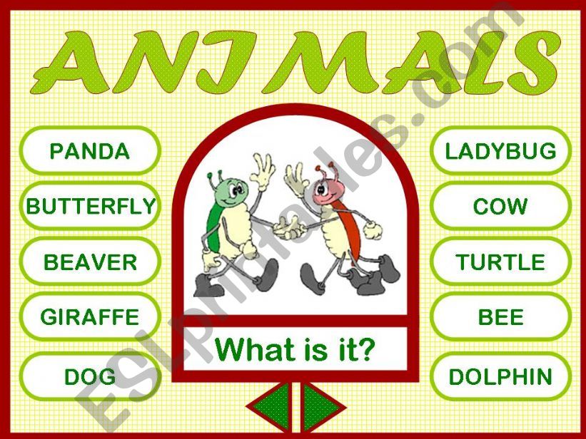 ANIMALS - GAME powerpoint