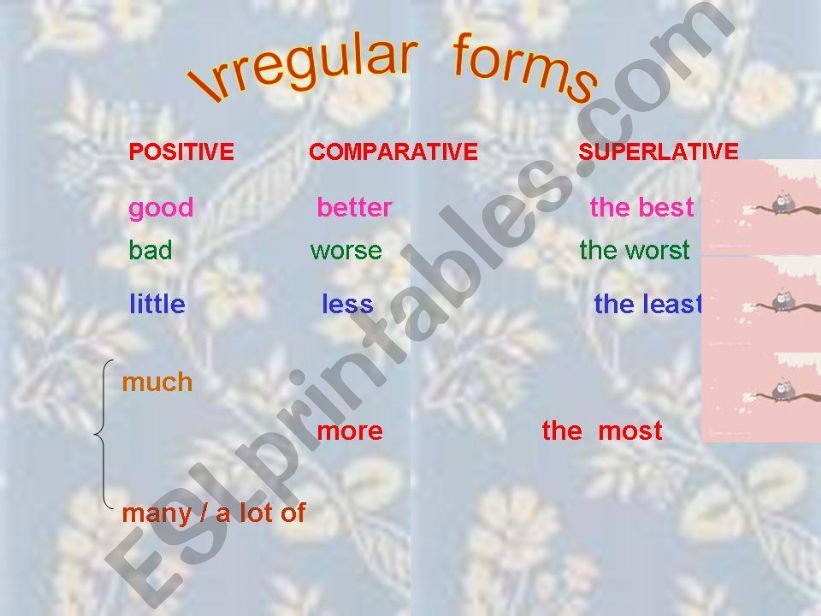 ppt showing the irregular adjectives and an exercise