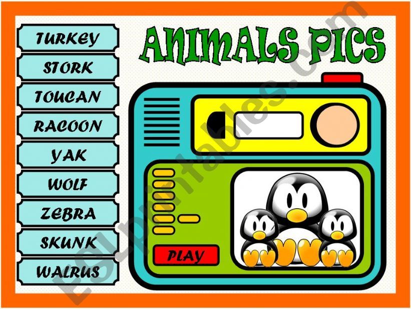 ANIMALS PICS - GAME powerpoint