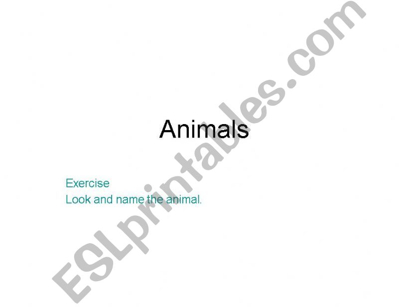 Animals for beginners powerpoint