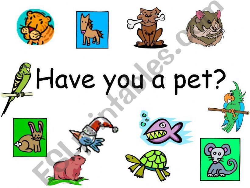 pets powerpoint