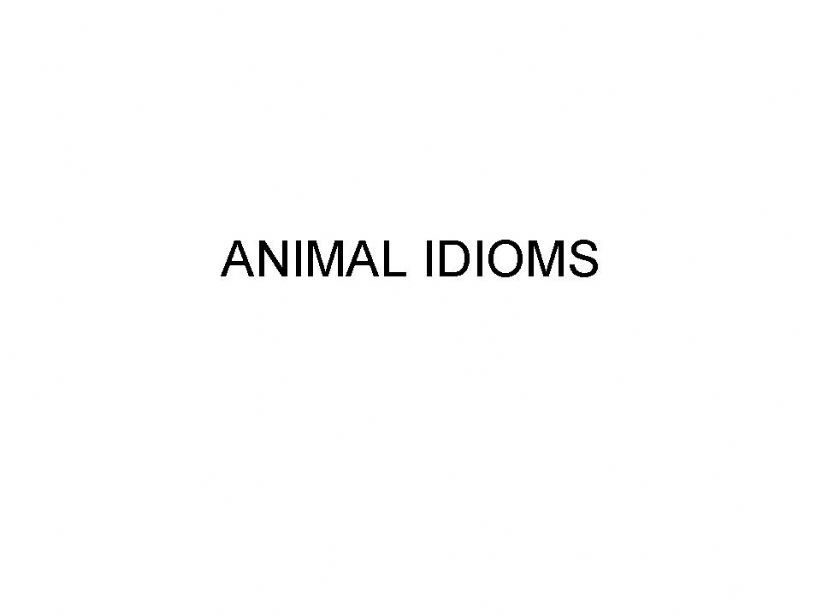 Animal idioms part 1 powerpoint