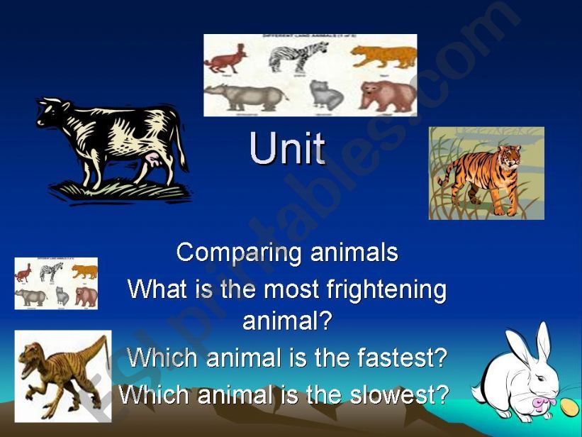 comparing animals powerpoint