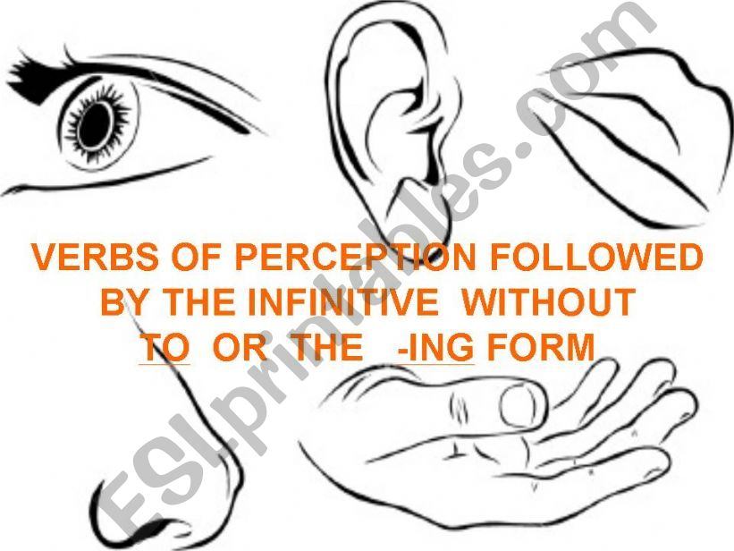 VERBS OF PERCEPTION FOLLOWED BY THE INFINITIVE WITHOUT TO OR -ING