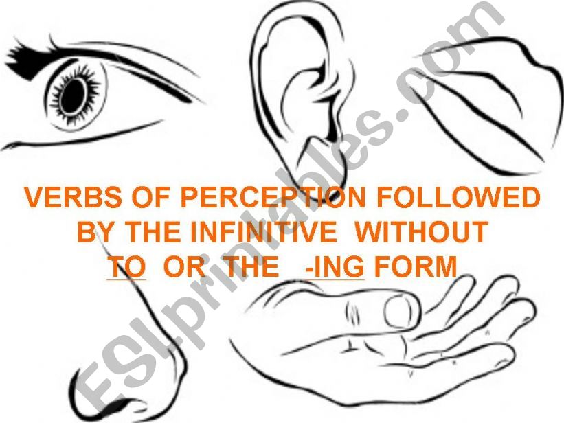 VERBS OF PERCEPTION FOLLOWED BY THE INFINITIVE WITHOUT TO OR -ING