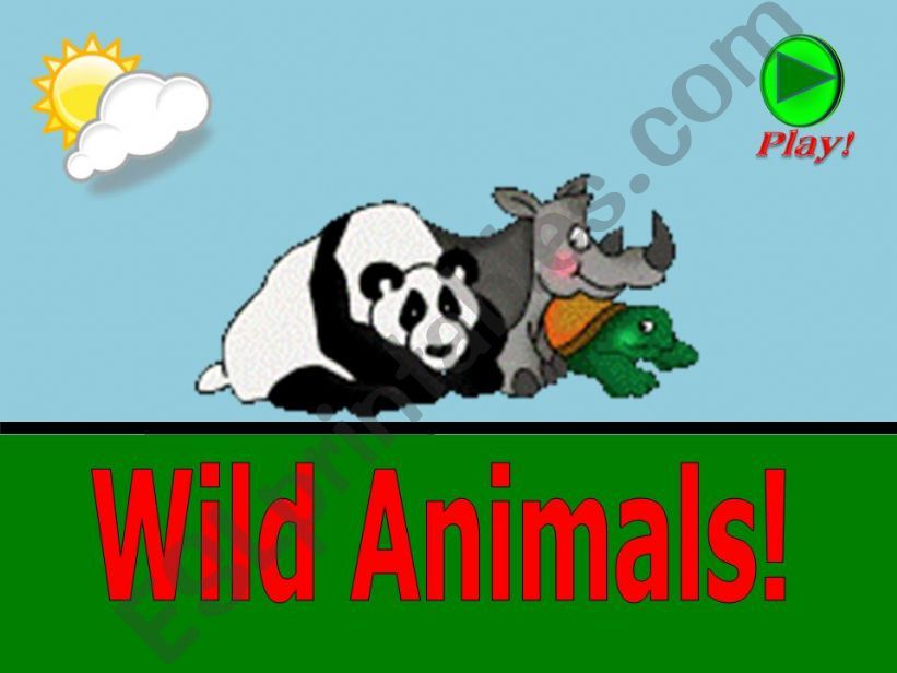 What is this ? - Wild Animals - part 01