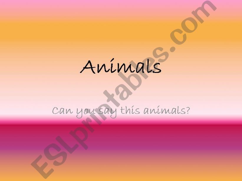 animals powerpoint