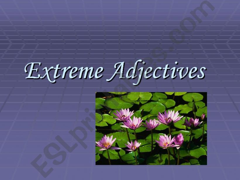 extreme adjectives powerpoint