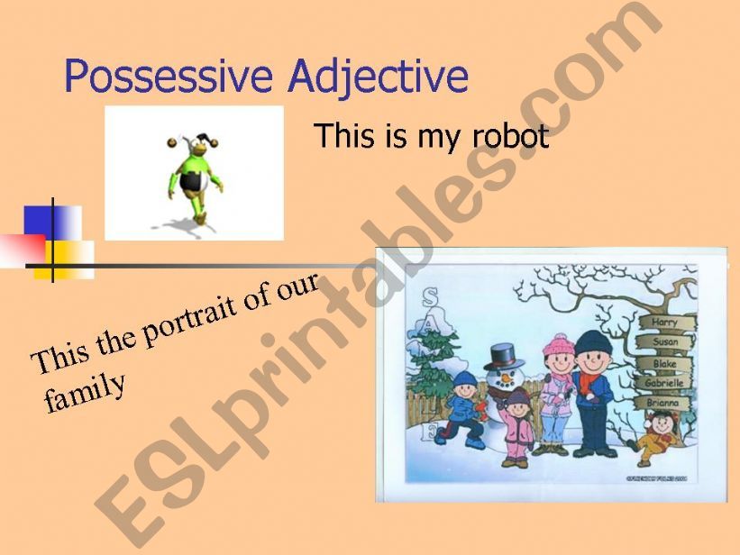 Possessive Adjectives powerpoint