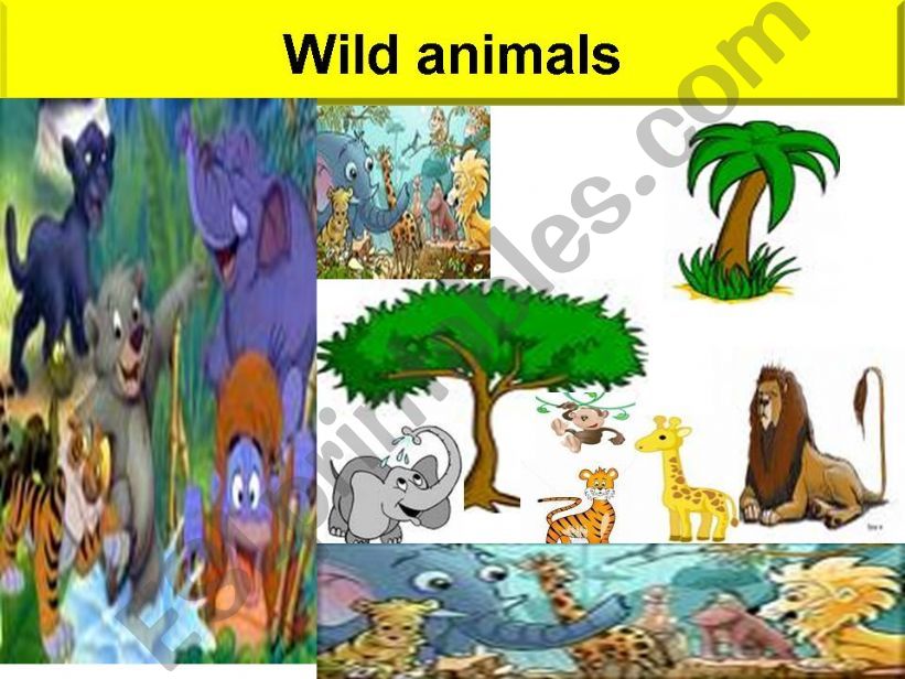 wild animals powerpoint