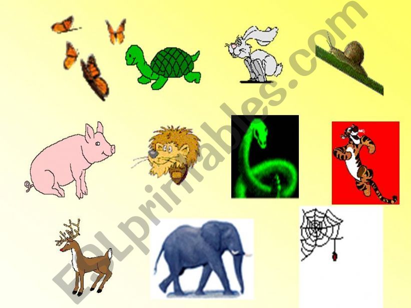 Tell Animals powerpoint