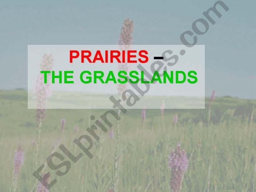 Prairies powerpoint