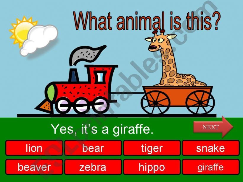 What is this? - wild animals part 07