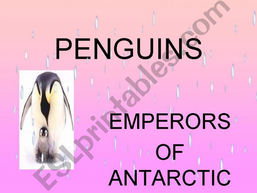 PENGUINS powerpoint