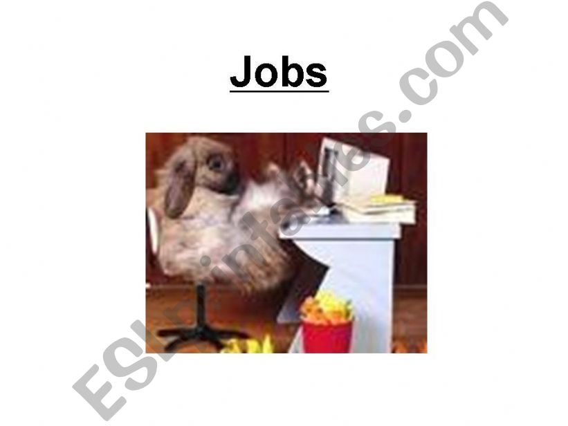 Jobs and adverbs of frequeny powerpoint