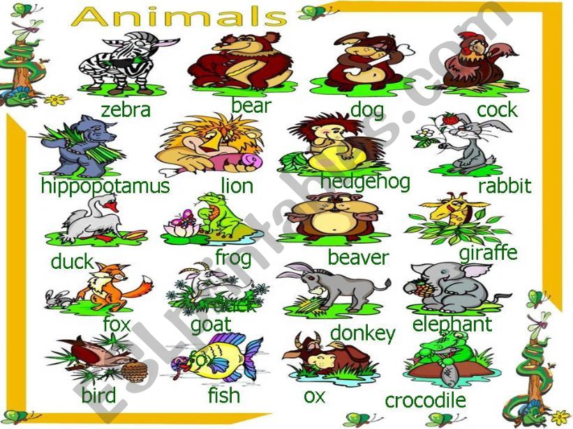 Animals powerpoint