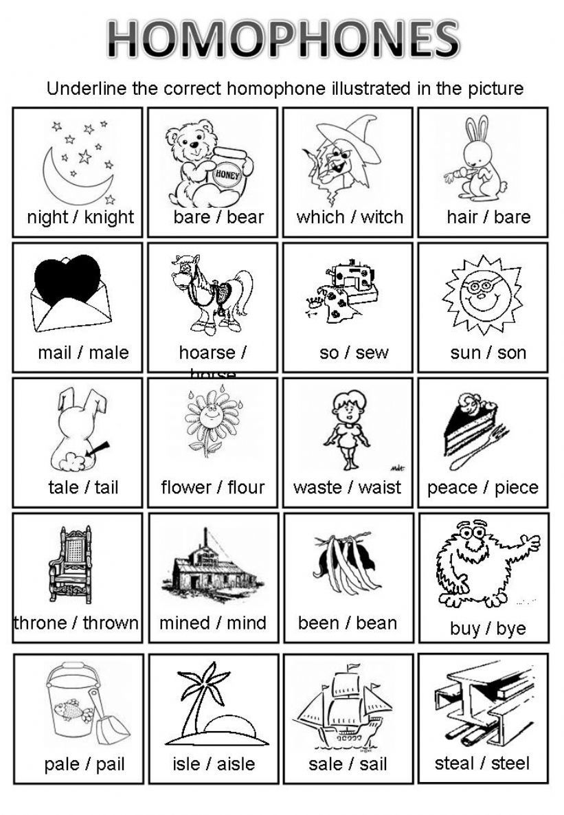 Homophones powerpoint