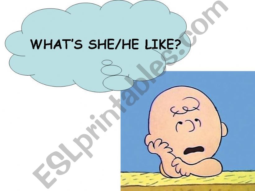 whats she/he like? powerpoint