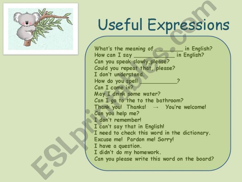 Useful Expressions powerpoint