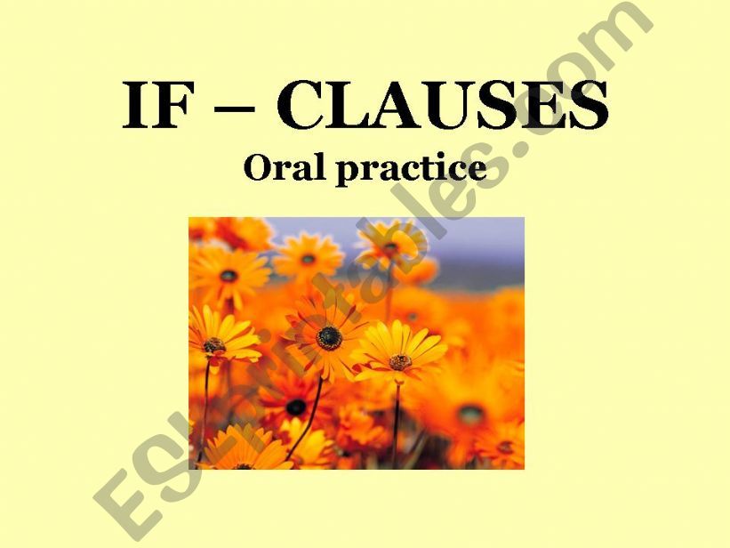 If Clauses (Oral Practice) - part 2