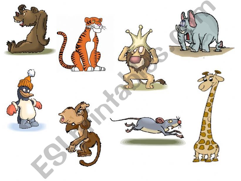 Animal comparison powerpoint