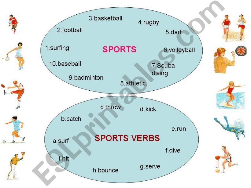 Sports and sports verbs powerpoint