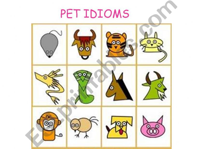 Pet Idiom 1 powerpoint