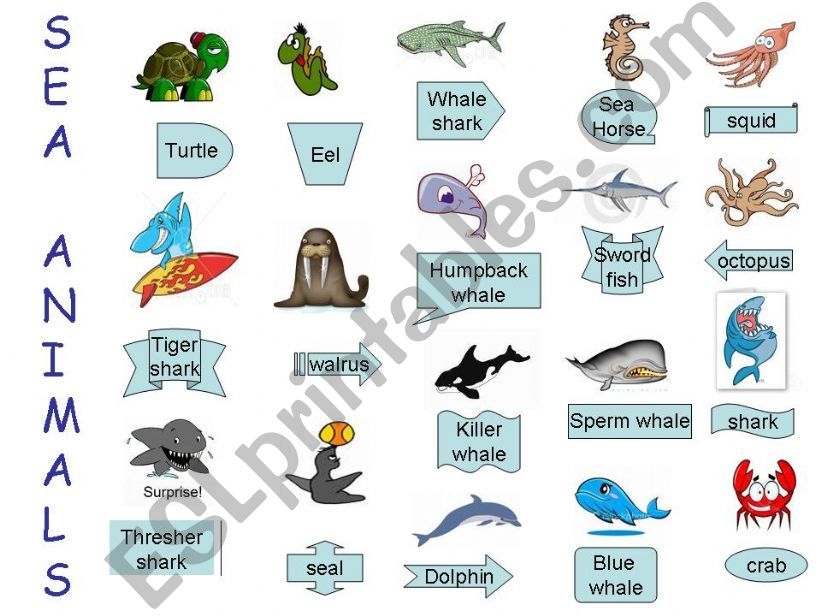 SEA ANIMALS powerpoint