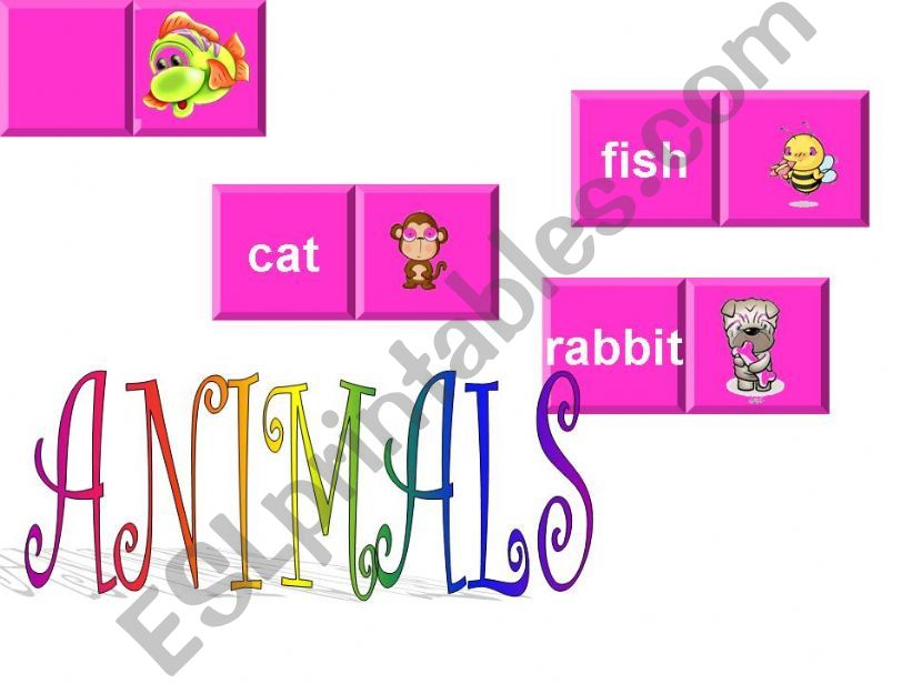 Animals  powerpoint