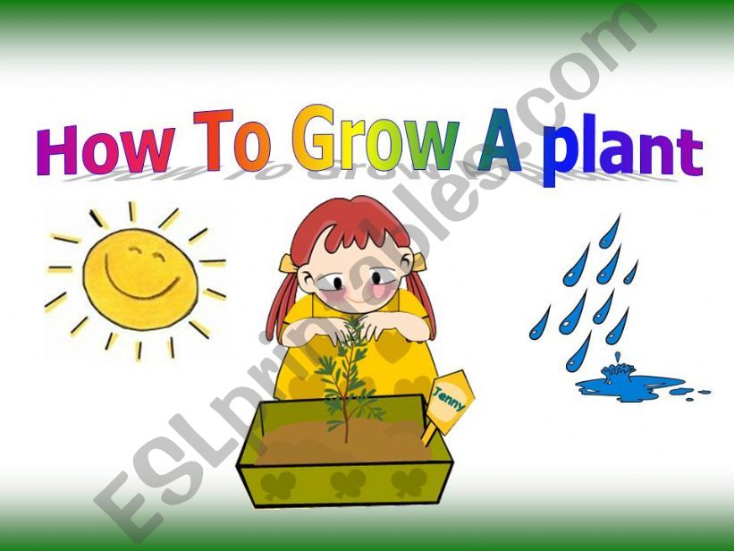 How to grow a plant powerpoint
