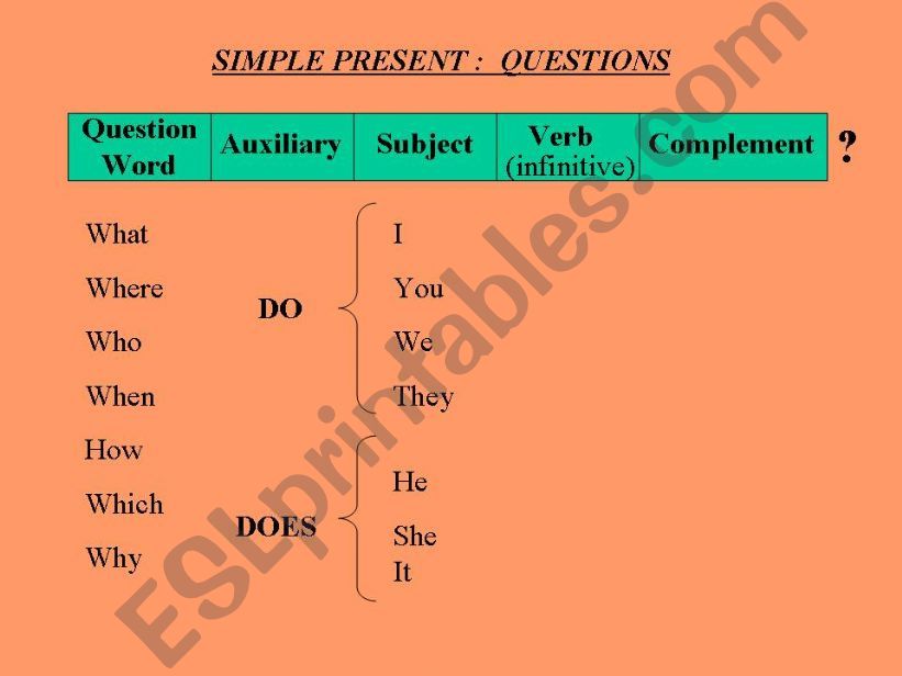 SIMPLE PRESENT Questions and Affirmative Statements