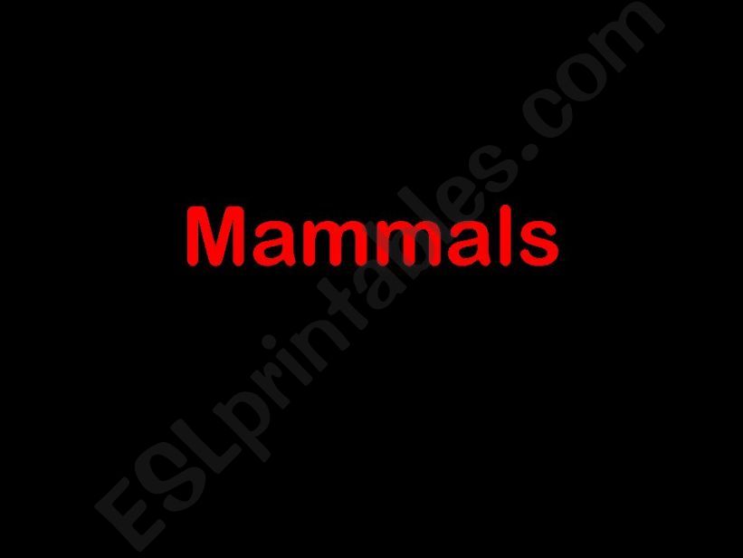 Mammals  powerpoint