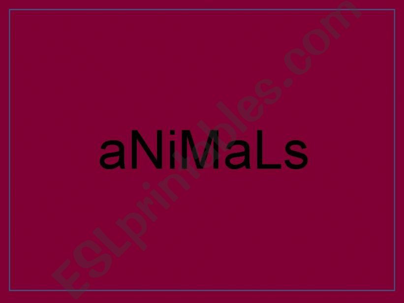 1st part of animals powerpoint