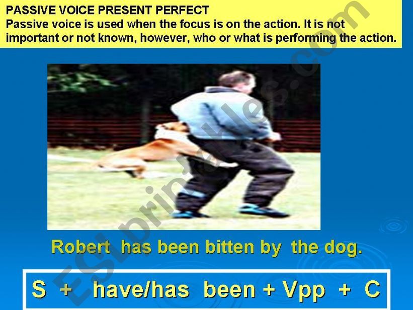 PASSIVE VOICE PRESENT PERFECT powerpoint