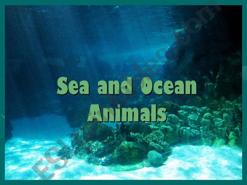 Sea and Ocean Animals (Part 1 of 4)