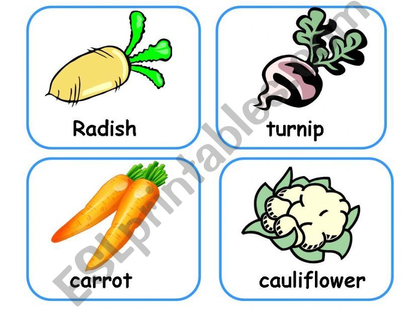 VEGETABLE FLASHCARDS  powerpoint