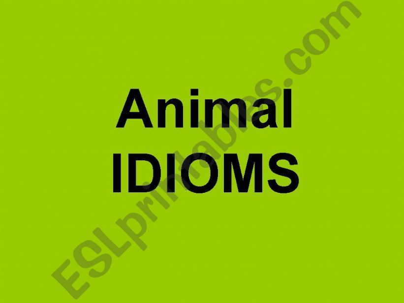 Animal Idioms powerpoint