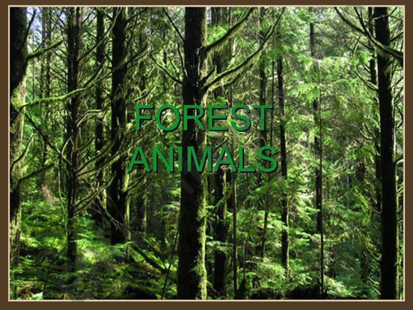 Forest Animals (Part 1 of 4) powerpoint