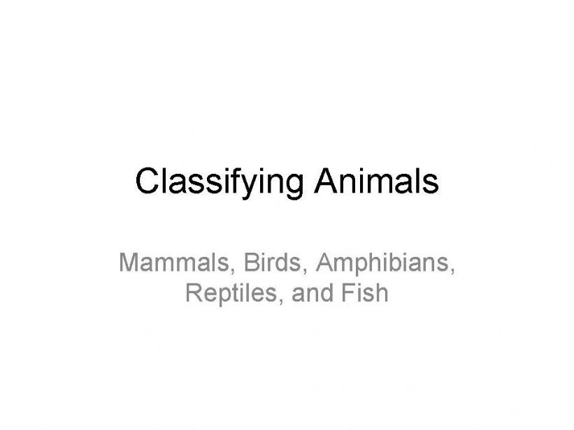 Classifying Animals (Part One)