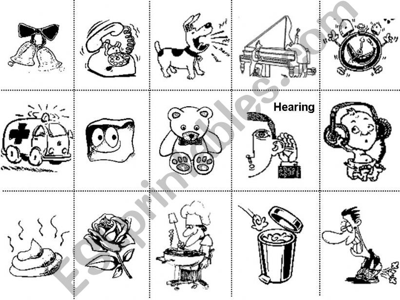 Five Senses - Coloring, Flashcards, Activity, Activity